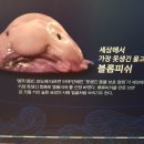 땡이곤듀님 별명중 하나가 이미지