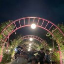 용인대 새봄 태권도 이미지