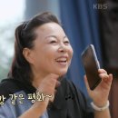 홍진희