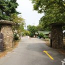 국립희리산해송자연휴양림 이미지