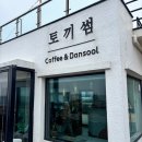 제주토끼 | [제주 제주시] 토끼썸 카페 방문 후기 🐰☕