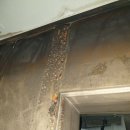 (주)루첸그린 이미지