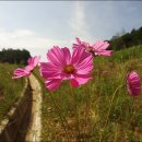 송강농장 이미지