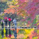 입장료 없이 즐기는 가을 절정, 단풍으로 물든 힐링 여행지 이미지