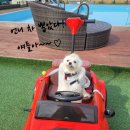 굿모닝여행