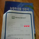 고인돌블루베리