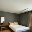 로카와 델피노2 이미지