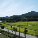 용동마을 이미지