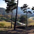 송산리고분군모형전시관 이미지