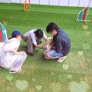 피개행개 | [광주 펫크닉] 마지막 날에 가 땅치고 후회하지만 그래도 좋았던 반려동물 피크닉 후기