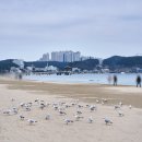 영일대해수욕장(399107) | 대구근교바다여행 포항영일대해수욕장카페 헤이안