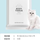 베이직 바디