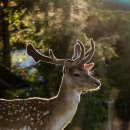 Let’s fun? 이미지