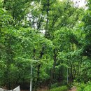 방배하이츠 이미지