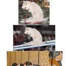 안녕하세요 이미지