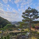 소나무정원 이미지