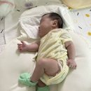 해와달어린이집 | [해와달케어] 산후도우미 이용 후기