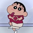 하모니동물병원 | 임신 11주~13주 장꾸맘 각도법,미세플라스틱무서운임산부,srt임산부할인