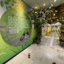 양평곤충박물관 이미지