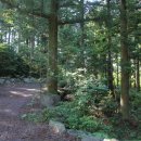 예이츠산장 이미지