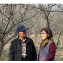 김병환농장 이미지