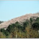 호암미술관 이미지