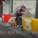 강림농장 이미지