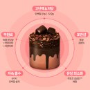 [쉐이크베이비 단백질 쉐이크 딸기맛 대용량 2주 섭취 단점과 솔직한 변화]