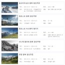 (신행-10) 스위스 그린델발트 피르스트 어드벤처 할인쿠폰 대기시간 수제버거 식당 후기