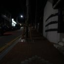 BOB 피시방 이미지