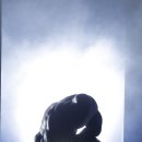 숀 휘트니스 이미지