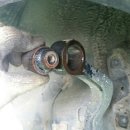 드림카맨샵 이미지