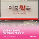 이화바로약국 이미지