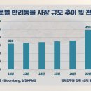 미음펫푸드 네이버블로그