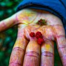 옹기종기 이미지