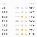 ,3/25/오후11시/맑음/ 서울 주간 일기예보 이미지