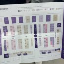 뷰티코인마켓 | 컬리푸드페스타 2025 마지막날 오전 후기~ 2026년에는 안가요! (컬리푸드페스타 비추후기)