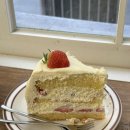 금송2길 | 장마 후 사진 털이