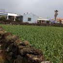 좌기동경로당 이미지