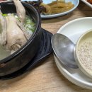 돌고래철따라맛따라