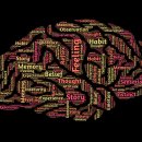 한솔행정사 이미지