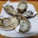 사계절 수산 이미지