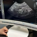 제이준 말전문 동물병원 | 과잉진료없는 고양이전문병원 서초이음동물병원 장점 단점 노묘 고양이구토증상 컨디션저하 원인