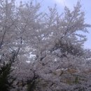 삼미사 이미지