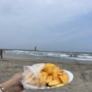 동진청과