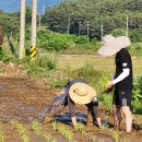 연한가지공동체 이미지