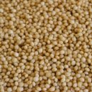 아마란스 이미지