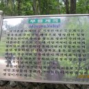 무릉계곡 이미지