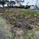 제15호 어린이공원 이미지