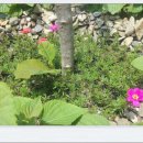 후겸농장 이미지